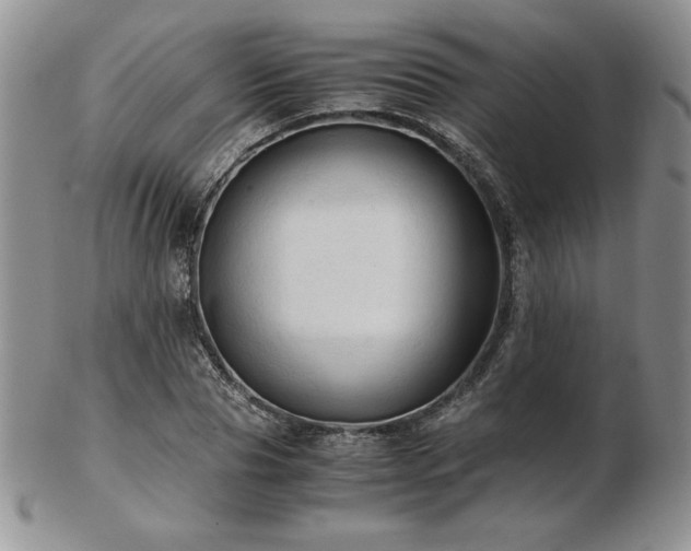 X0000103130929200808221150