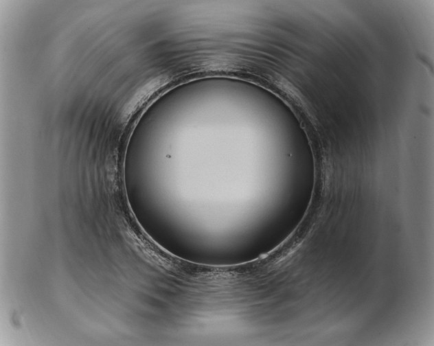 X0000103130930200808221150