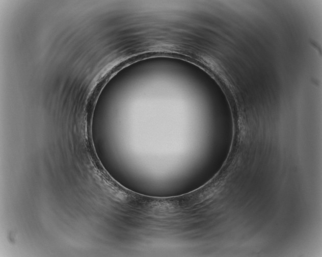 X0000103130931200808221150