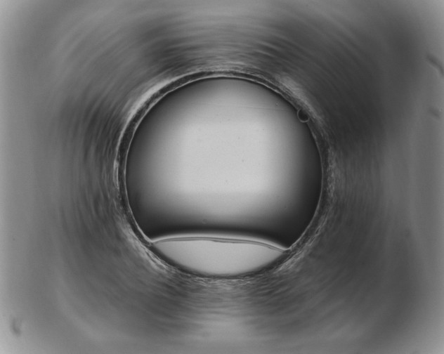 X0000103130932200808221150