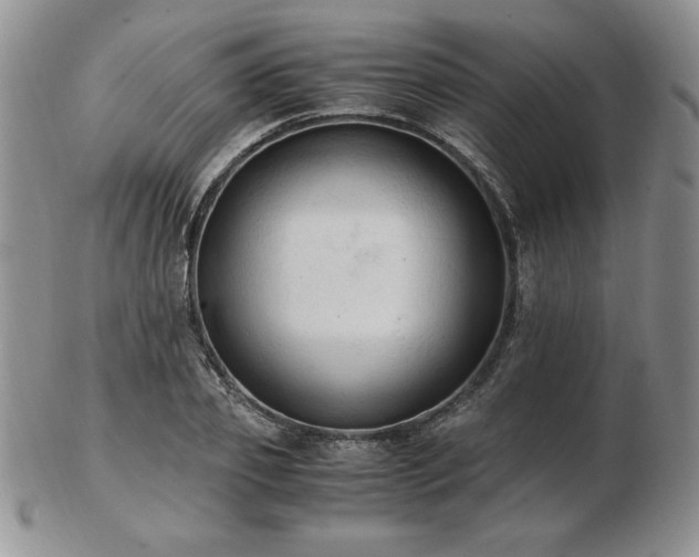 X0000103130933200808221150