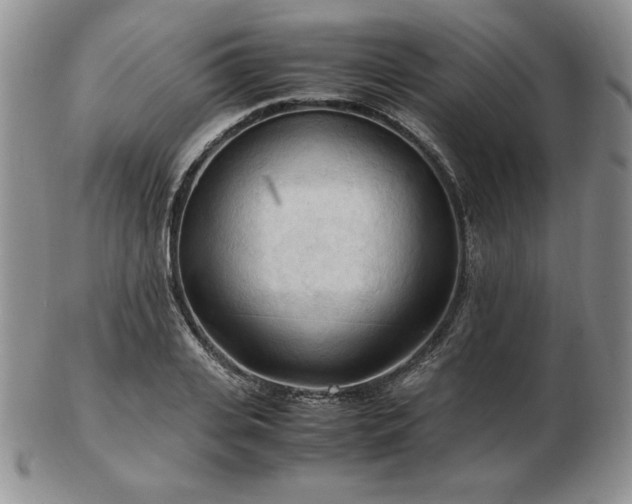 X0000103130935200808221150