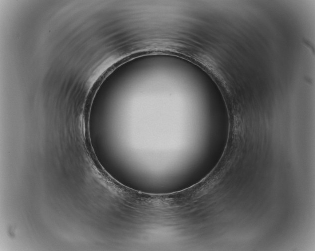 X0000103130936200808221150