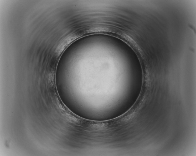 X0000103130937200808221150