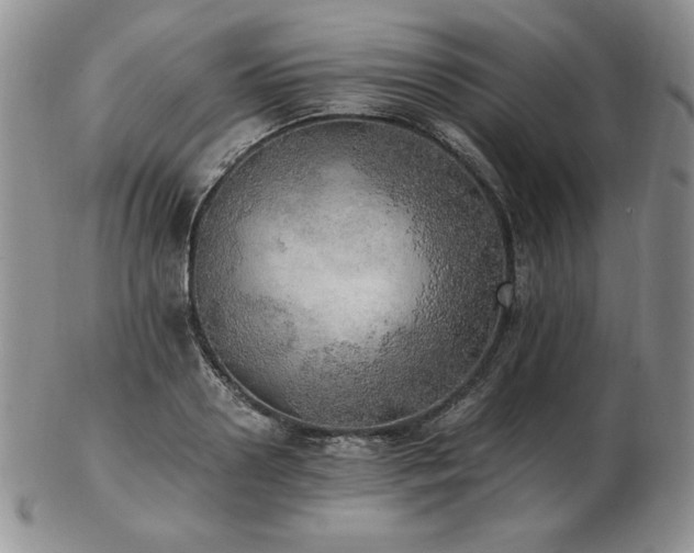 X0000103130938200808221150