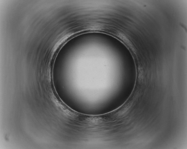 X0000103130939200808221150