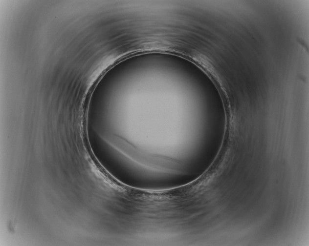 X0000103130941200808221151