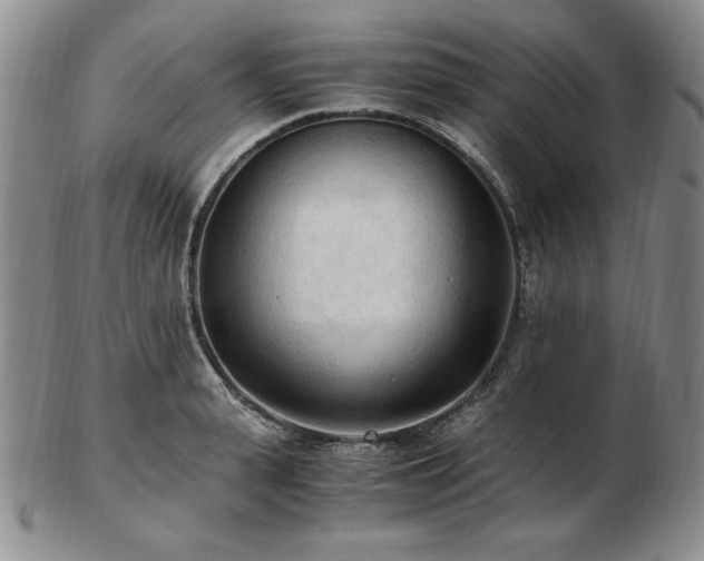 X0000103130943200808221151