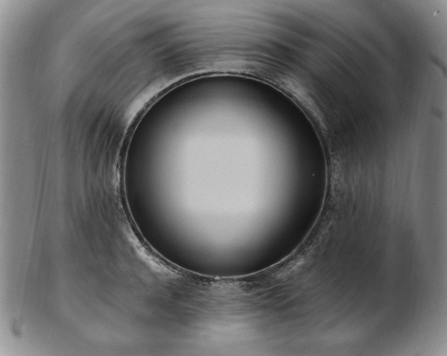 X0000103130944200808221151