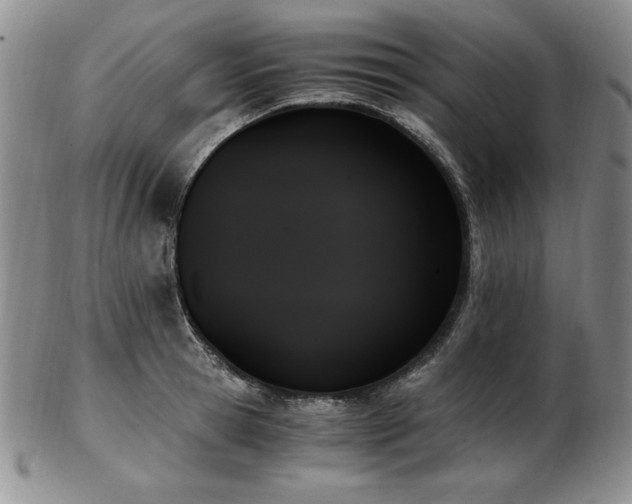 X0000103130945200808221151