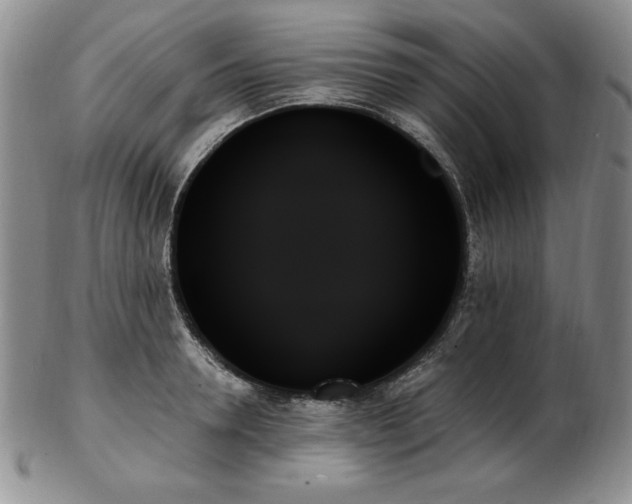 X0000103130946200808221151