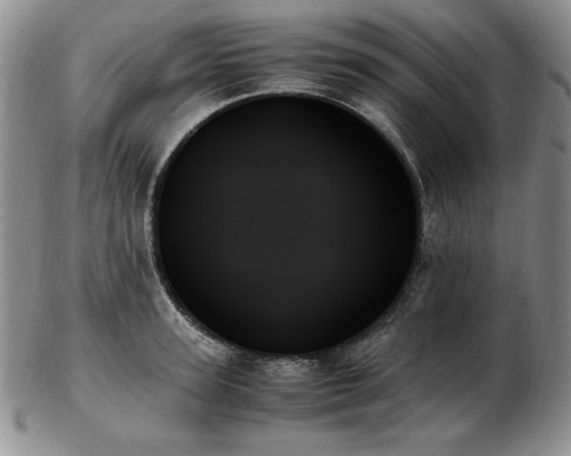 X0000103130947200808221151