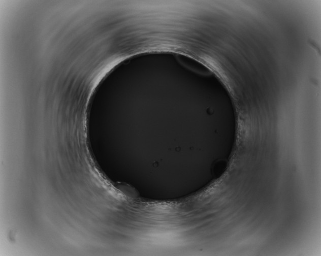 X0000103130948200808221151