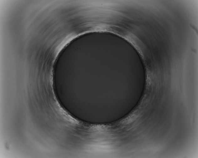 X0000103130950200808221151