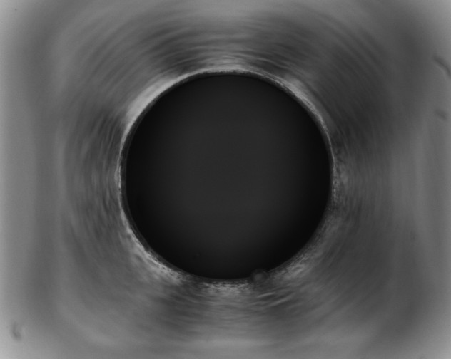 X0000103130951200808221151