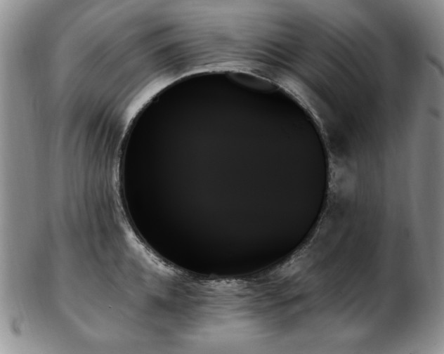 X0000103130952200808221151
