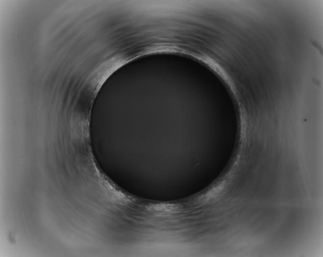 X0000103130953200808221151