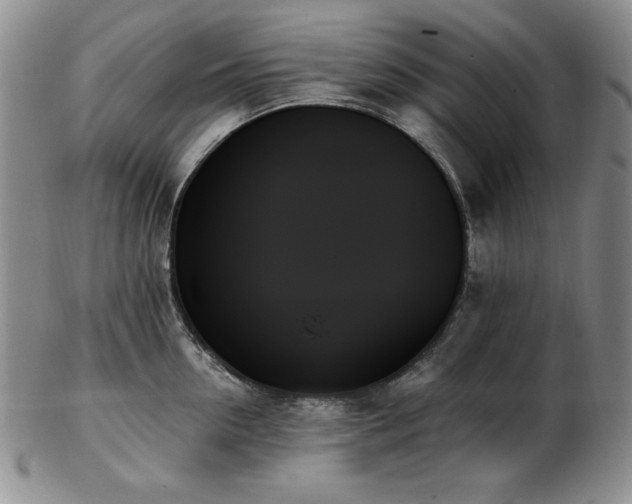 X0000103130954200808221151