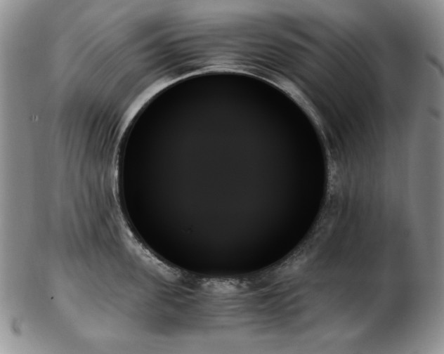X0000103130955200808221151