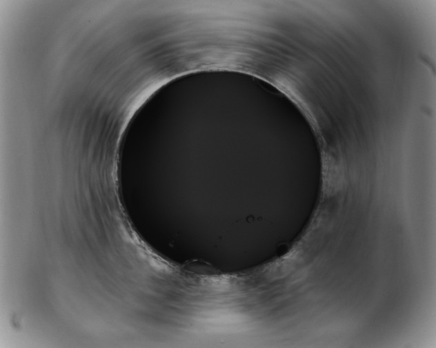 X0000103130956200808221151