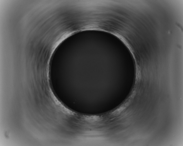X0000103130957200808221151
