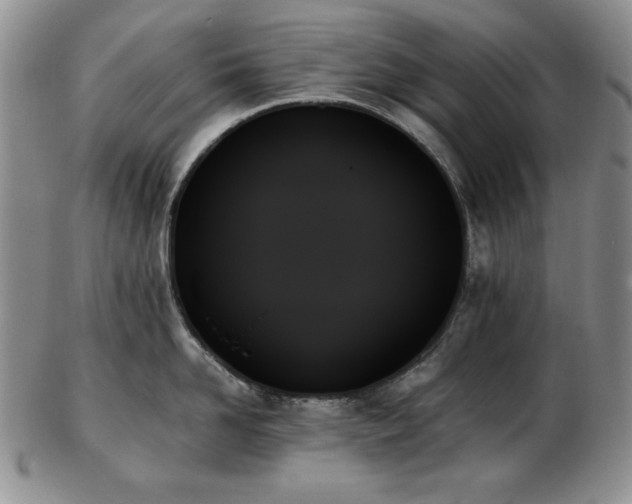 X0000103130958200808221151