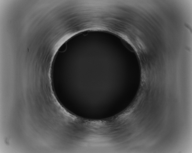 X0000103130959200808221151