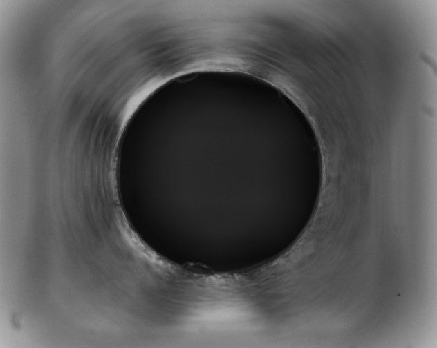 X0000103130960200808221151