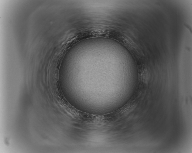 X0000103130961200808221150