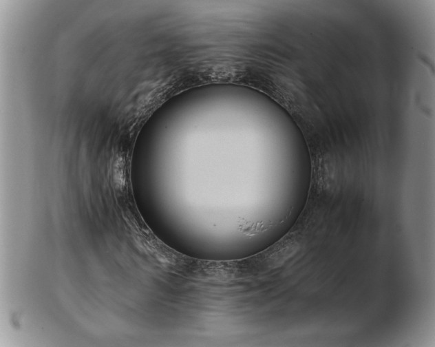 X0000103130962200808221150
