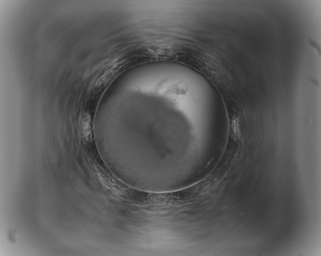 X0000103130963200808221150