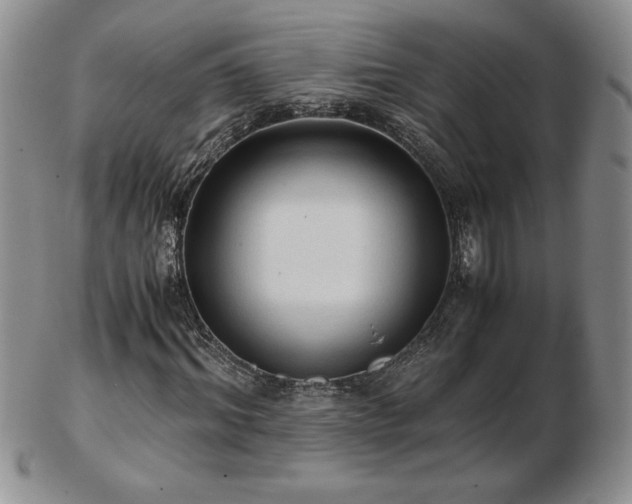 X0000103130964200808221150