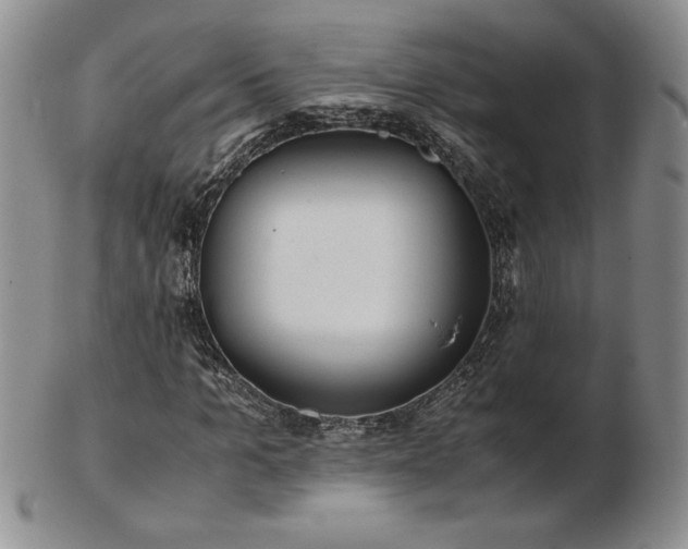 X0000103130965200808221150