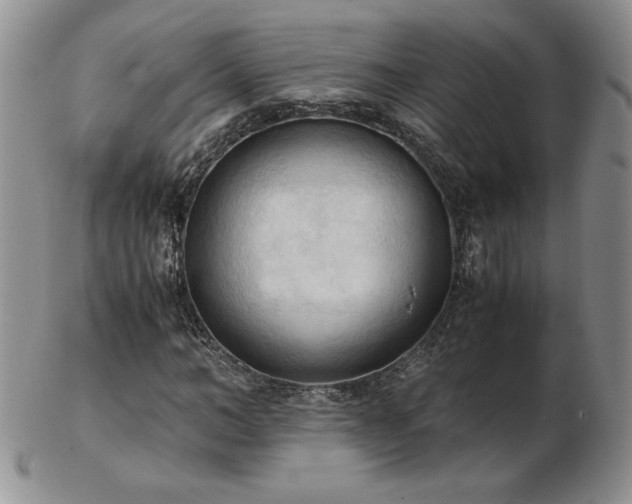X0000103130966200808221150