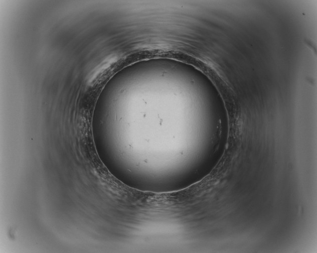 X0000103130967200808221150