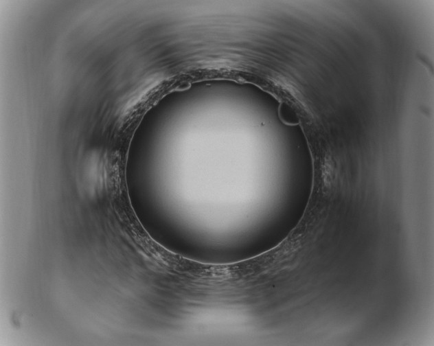 X0000103130968200808221150