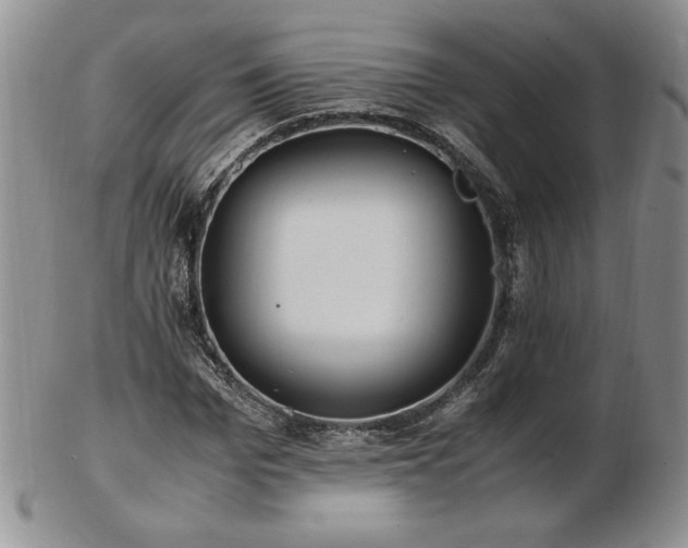 X0000103130969200808221150