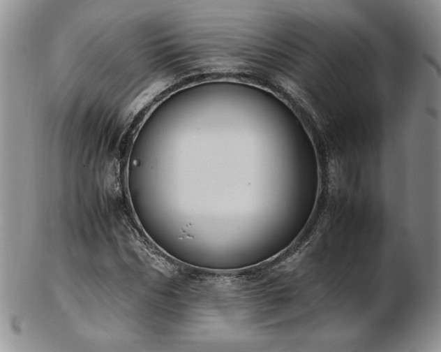 X0000103130970200808221150