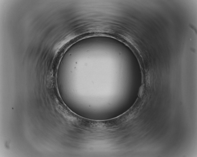 X0000103130971200808221150