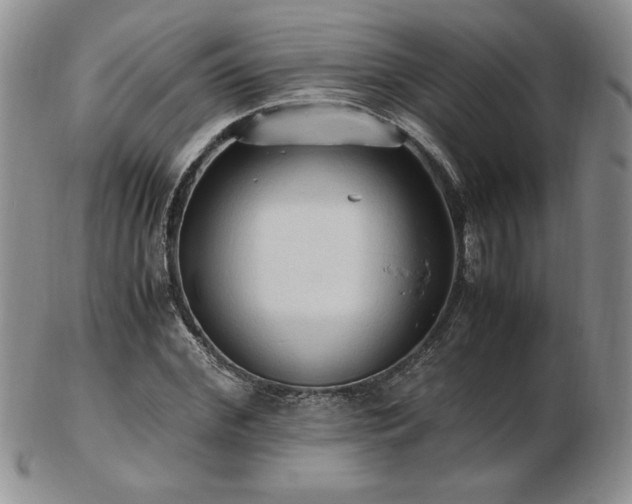 X0000103130972200808221150