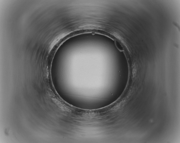 X0000103130973200808221150