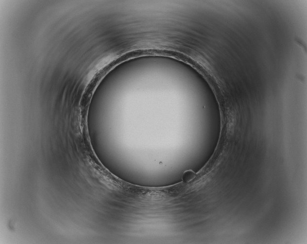 X0000103130974200808221150