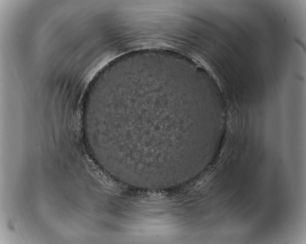X0000103130975200808221150