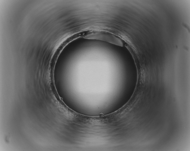 X0000103130976200808221150