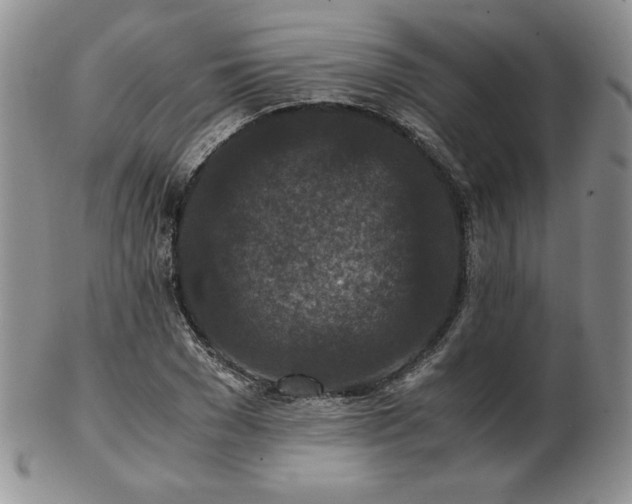 X0000103130977200808221150