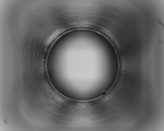 X0000103130978200808221150