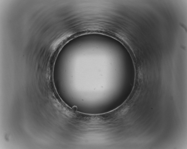 X0000103130979200808221150