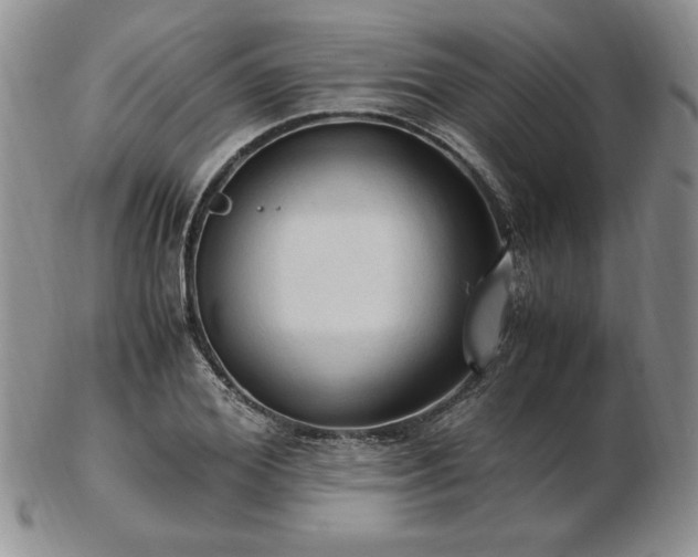 X0000103130980200808221150