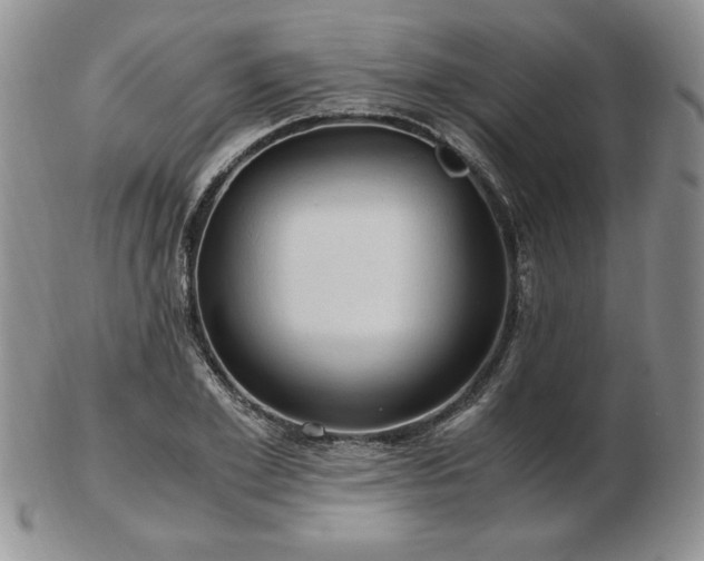 X0000103130981200808221150