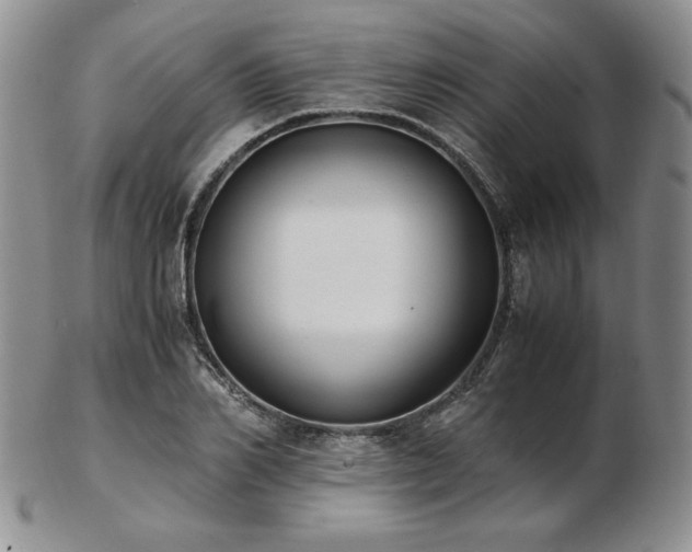 X0000103130982200808221150